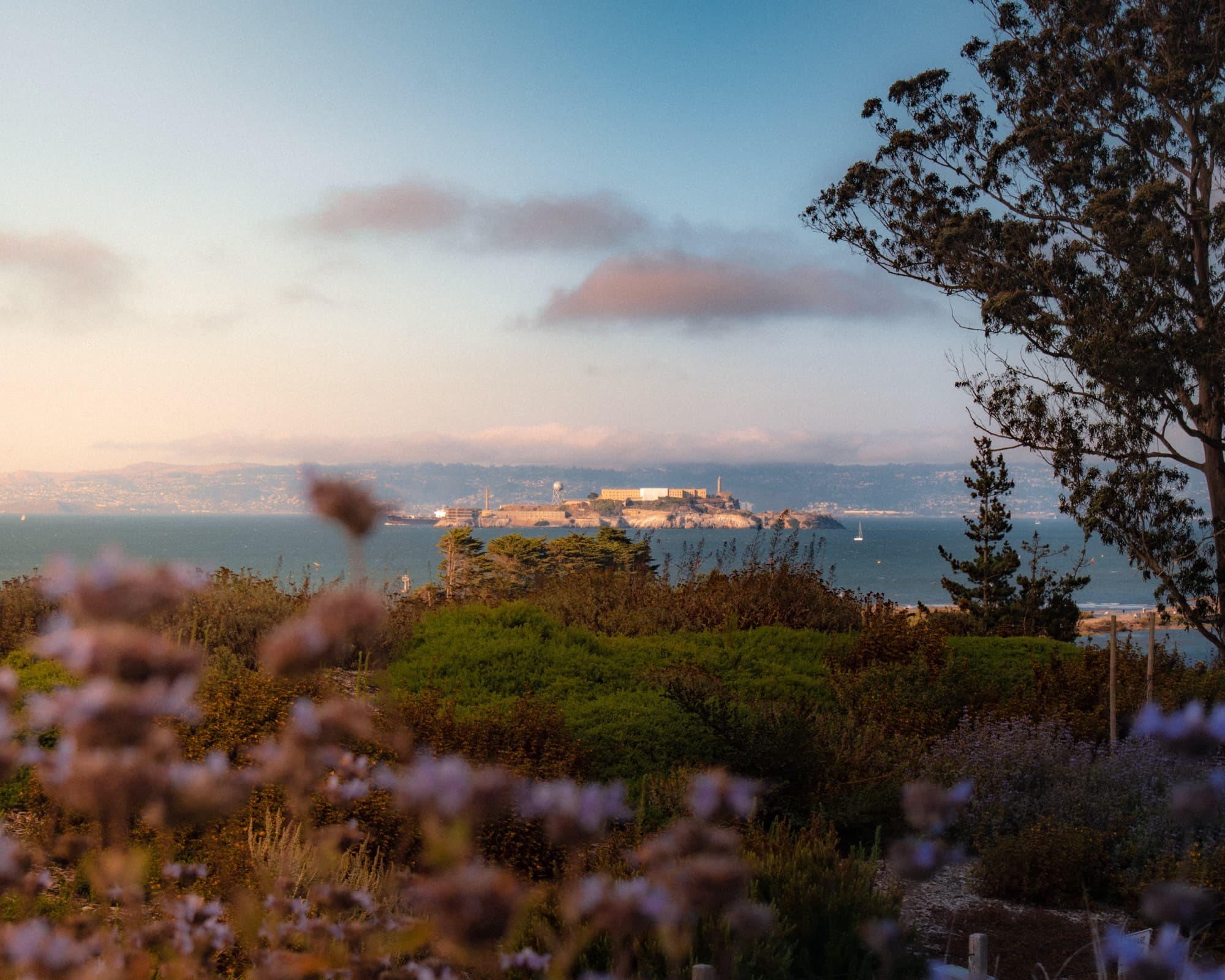 San Francisco - Bay Area, USA